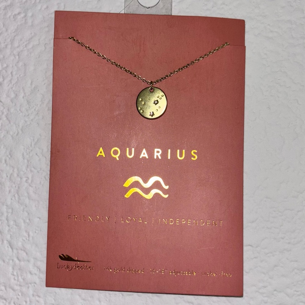 14k Gold Dipped Aquarius Pendant Necklace